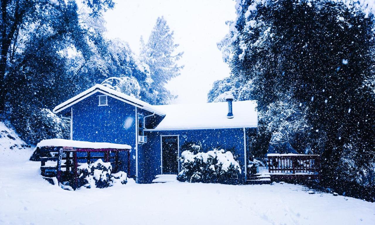 New! Cozy & Secluded House W/Deck - Near Yosemite! Villa Tuolumne Kültér fotó